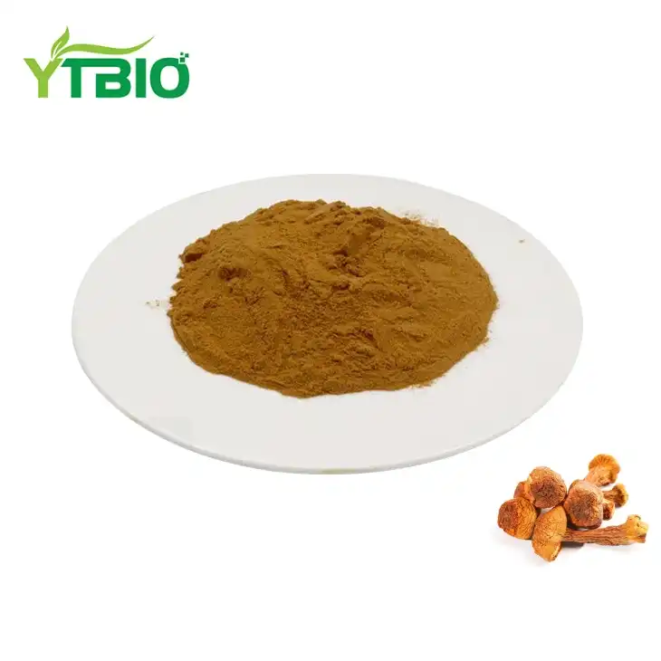 Agaricus Blazei Murill Extract